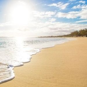 Meet your Posher, Sawyer